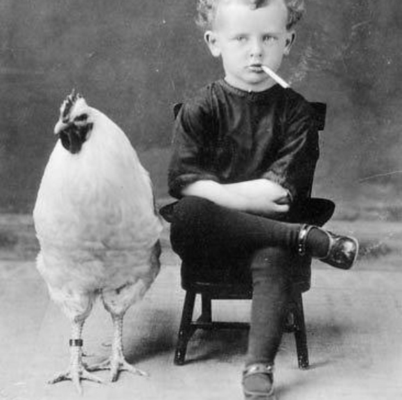 Meet your Posher, Gwen - Picture 7 of 8